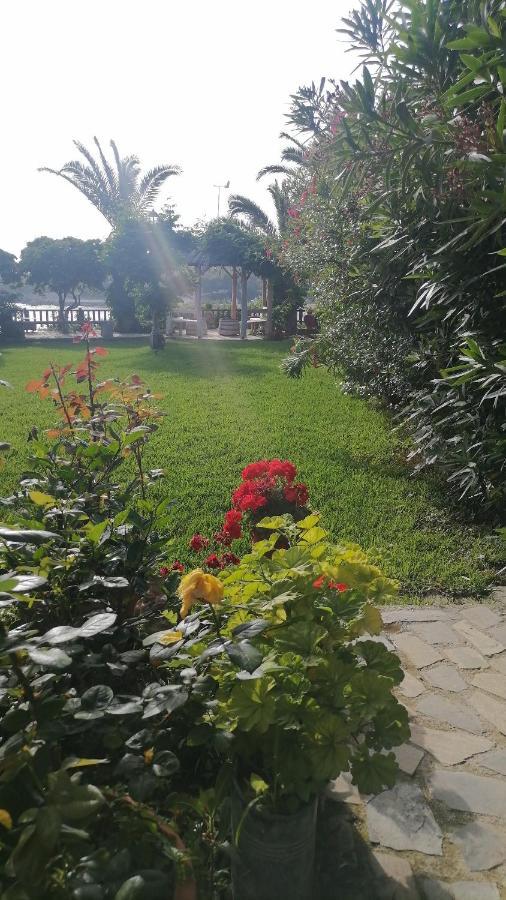 Dionisis Apartments Kounopetra ภายนอก รูปภาพ